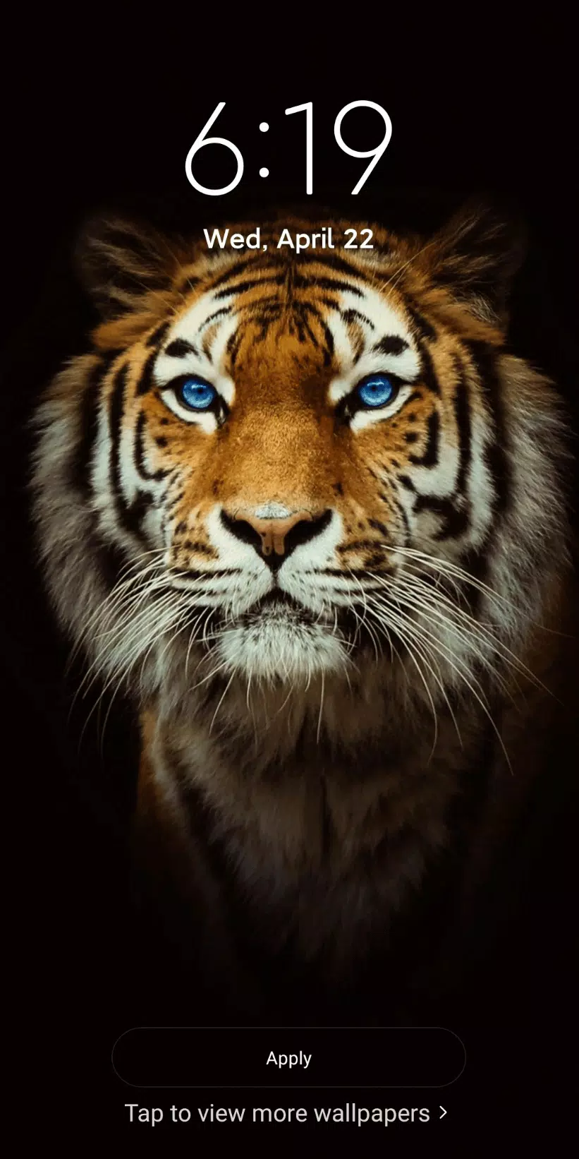 Detail Wallpaper Amoled Terbaik Nomer 52