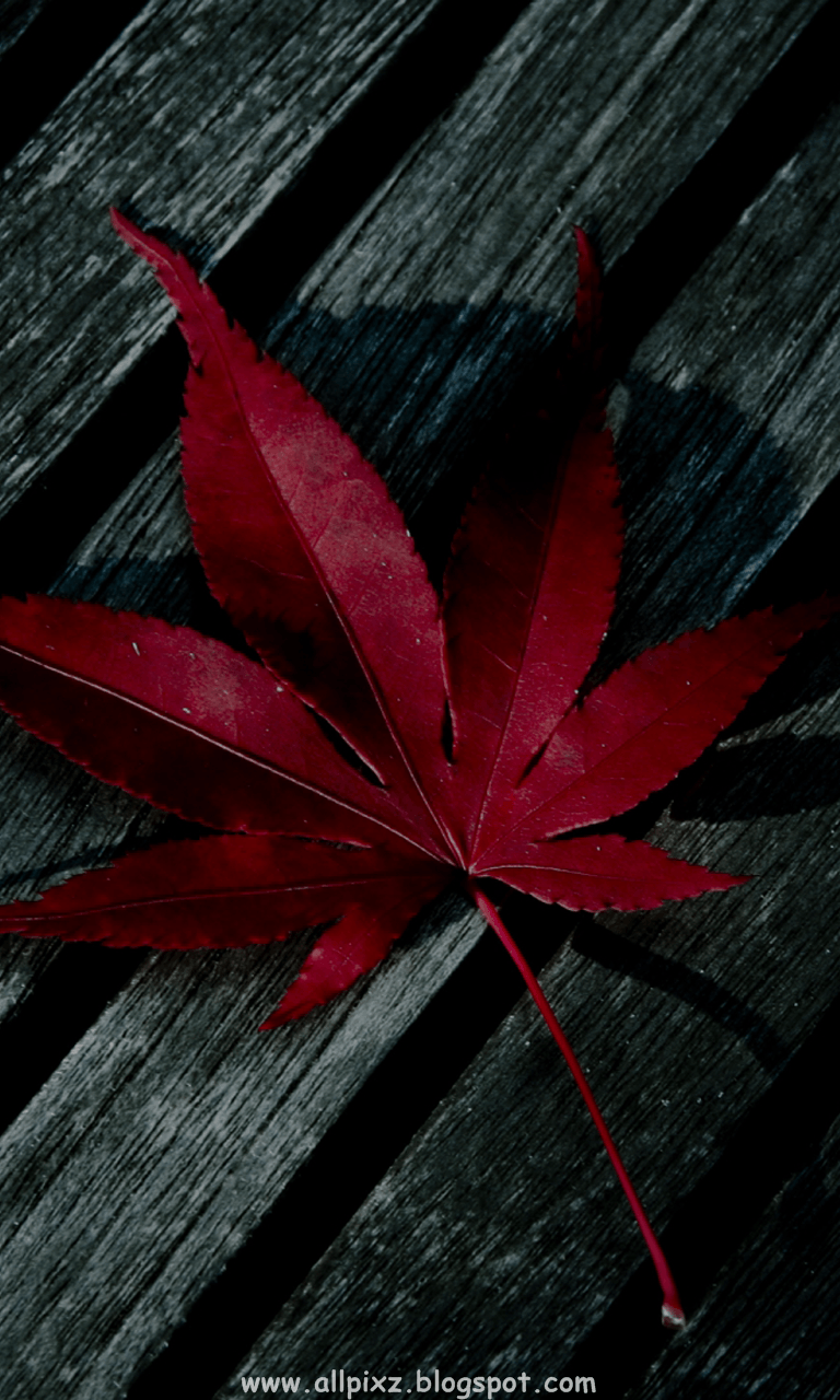 Detail Wallpaper Android Full Hd Nomer 34