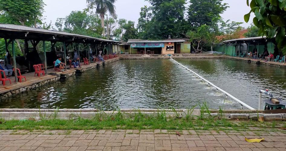 Detail Rumah Makan Dan Pemancingan Terdekat Nomer 39