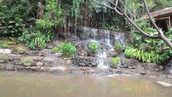 Detail Rumah Makan Di Air Mancur Bogor Nomer 32