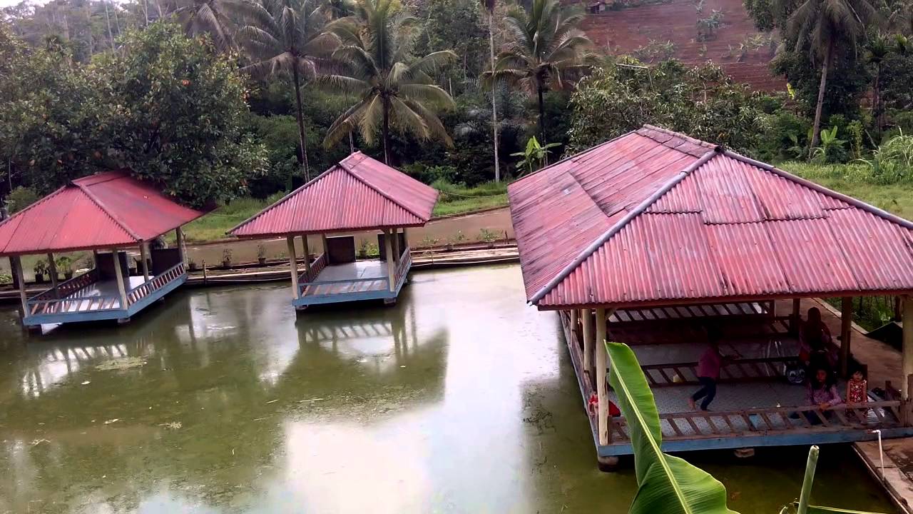 Detail Rumah Makan Diatas Kolam Ikan Nomer 10