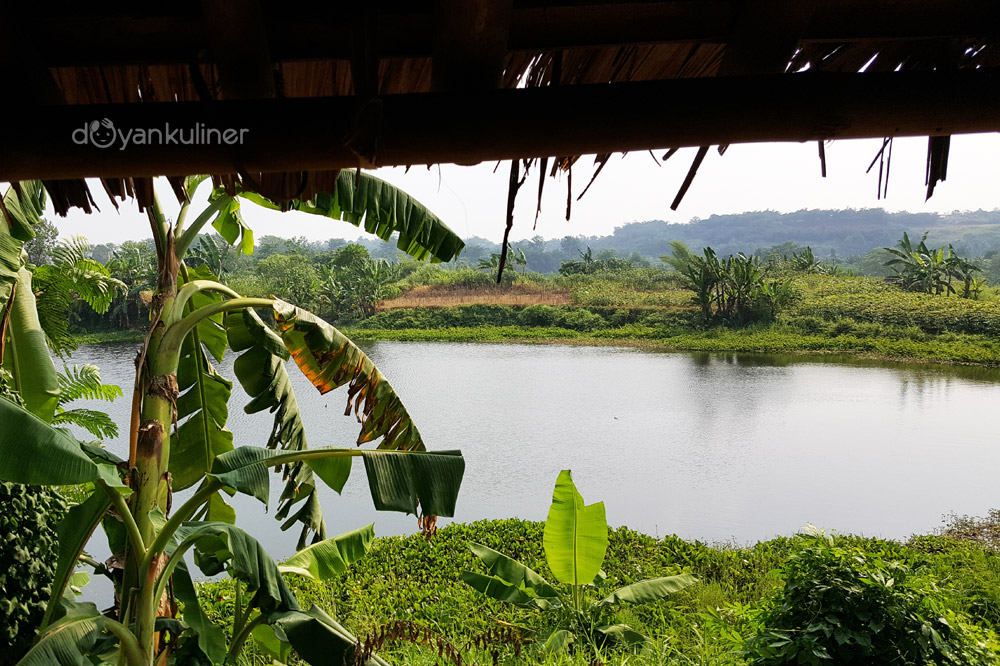 Detail Rumah Makan Ikan Cere Cisauk Nomer 46