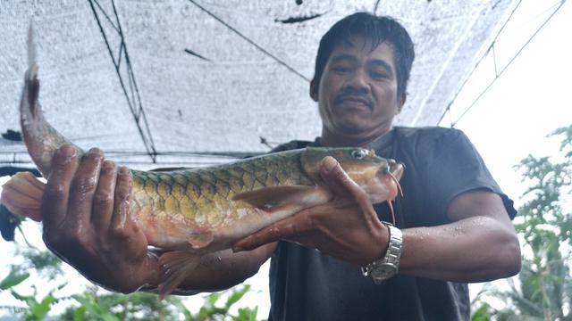 Detail Rumah Makan Ikan Dewa Nomer 15