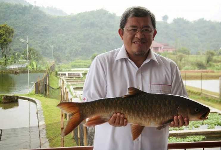 Detail Rumah Makan Ikan Dewa Nomer 47