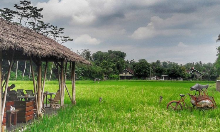 Detail Rumah Makan Magelang Nomer 3