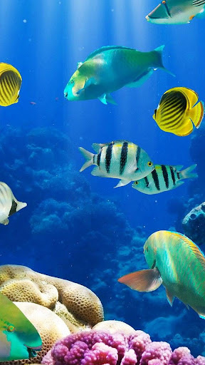 Detail Wallpaper Animasi 3d Aquarium Bergerak Nomer 44