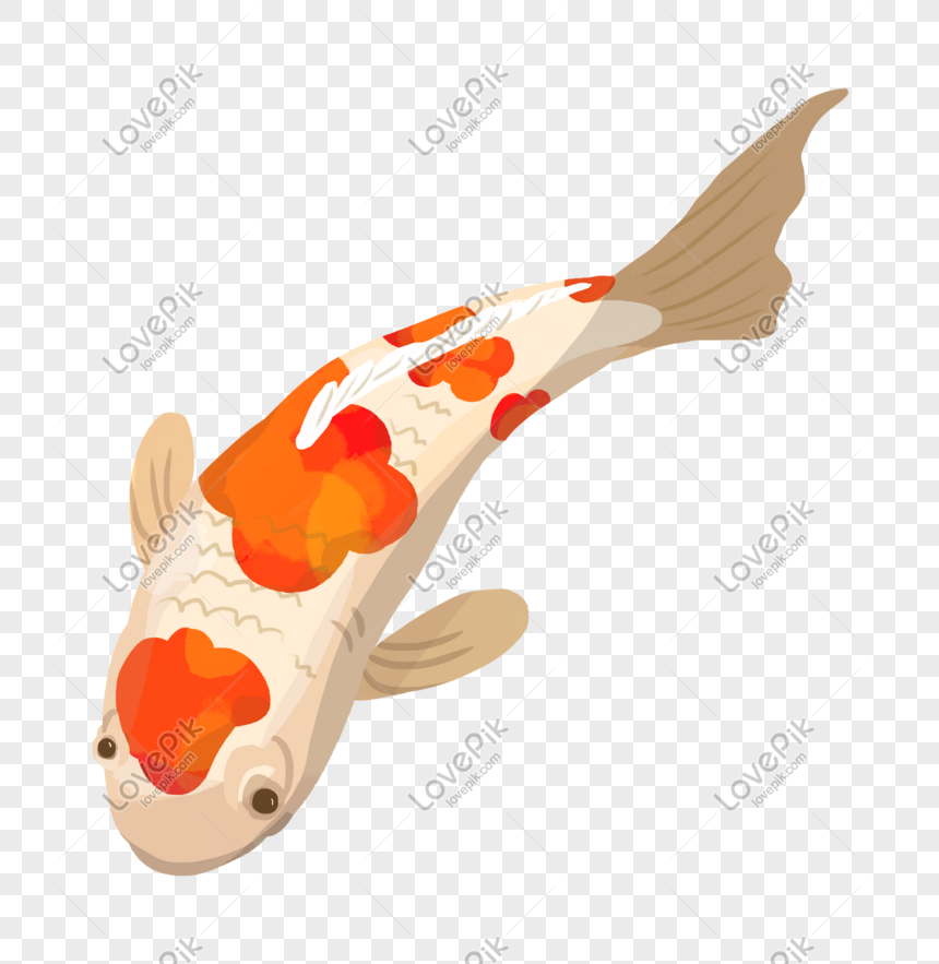 Detail Wallpaper Animasi Ikan Koi Nomer 12