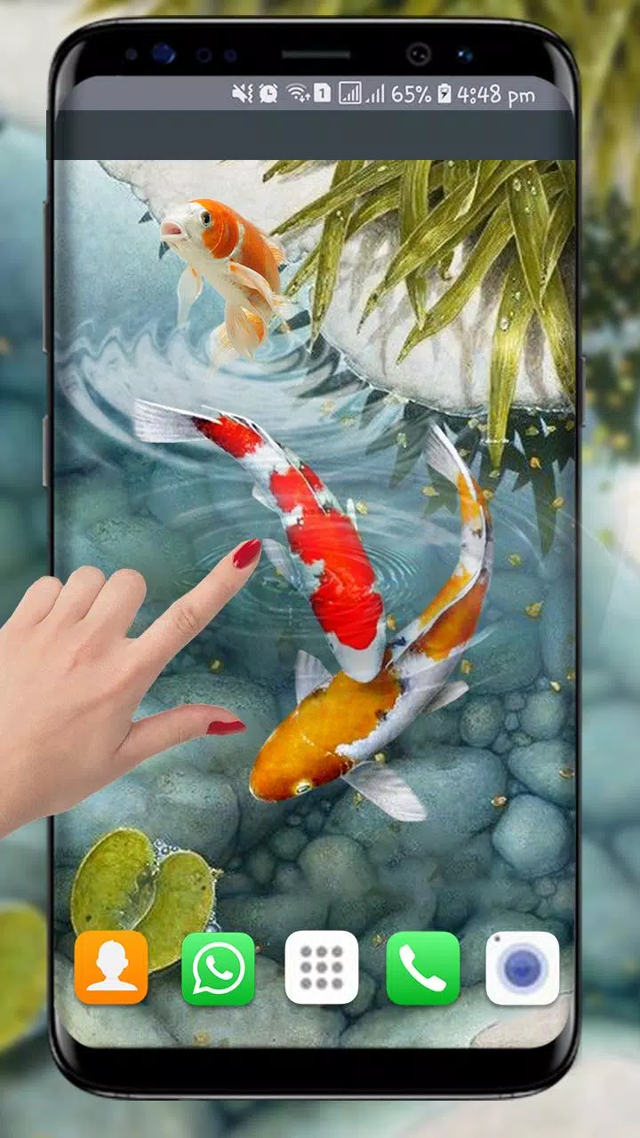 Detail Wallpaper Animasi Ikan Koi Nomer 20