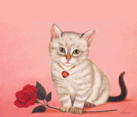 Wallpaper Animasi Kucing Bergerak - KibrisPDR