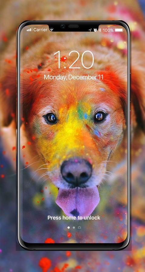 Detail Wallpaper Anjing Lucu Nomer 25