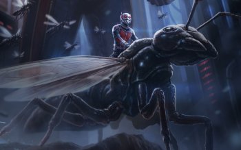 Detail Wallpaper Ant Man Nomer 22