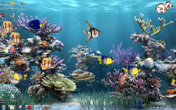 Detail Wallpaper Aquarium 3d Bergerak Nomer 27