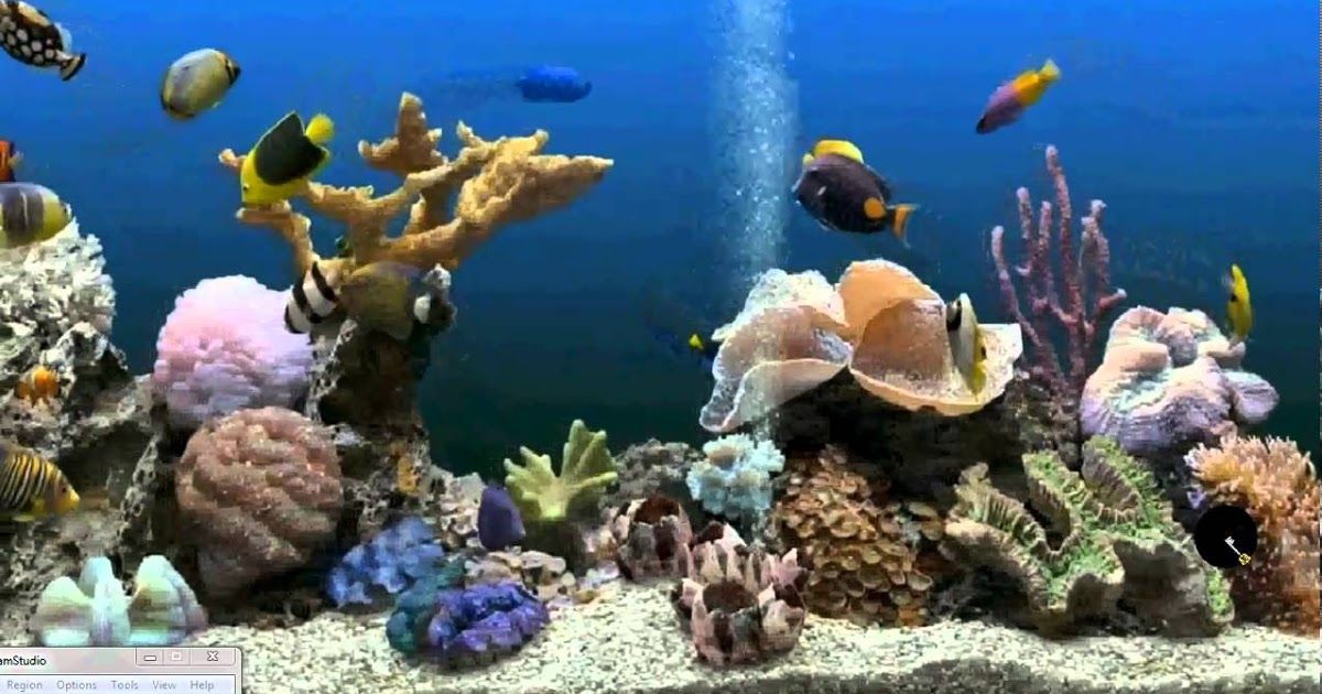 Detail Wallpaper Aquarium 3d Bergerak Nomer 28