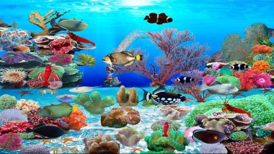 Detail Wallpaper Aquarium 3d Bergerak Nomer 32