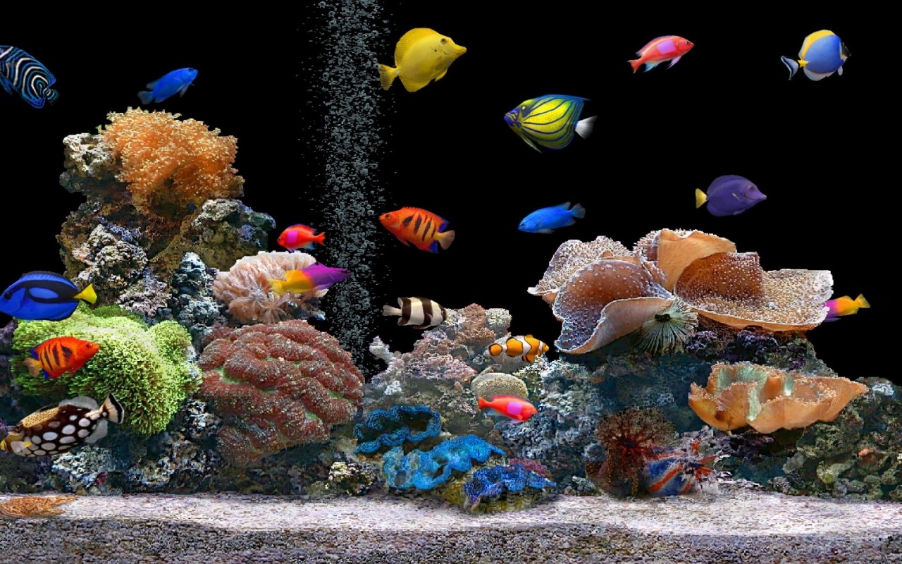 Detail Wallpaper Aquarium 3d Bergerak Pc Nomer 47