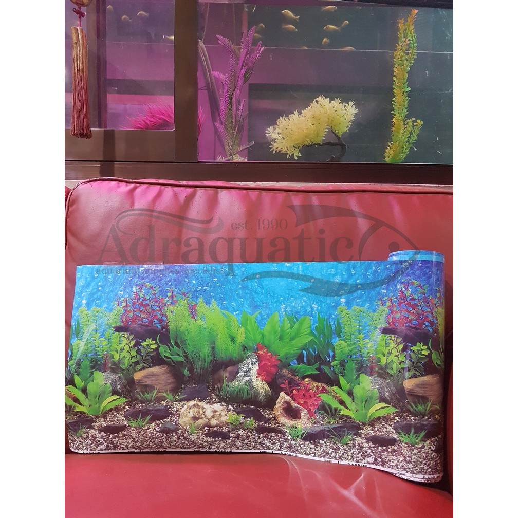 Detail Wallpaper Aquarium Batu Alam Nomer 13