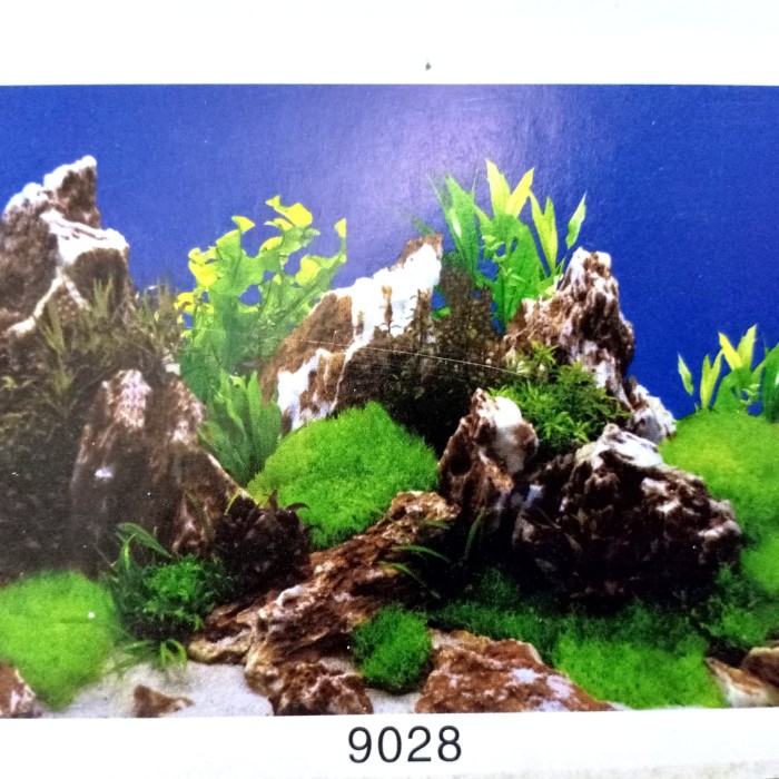 Detail Wallpaper Aquarium Batu Alam Nomer 40