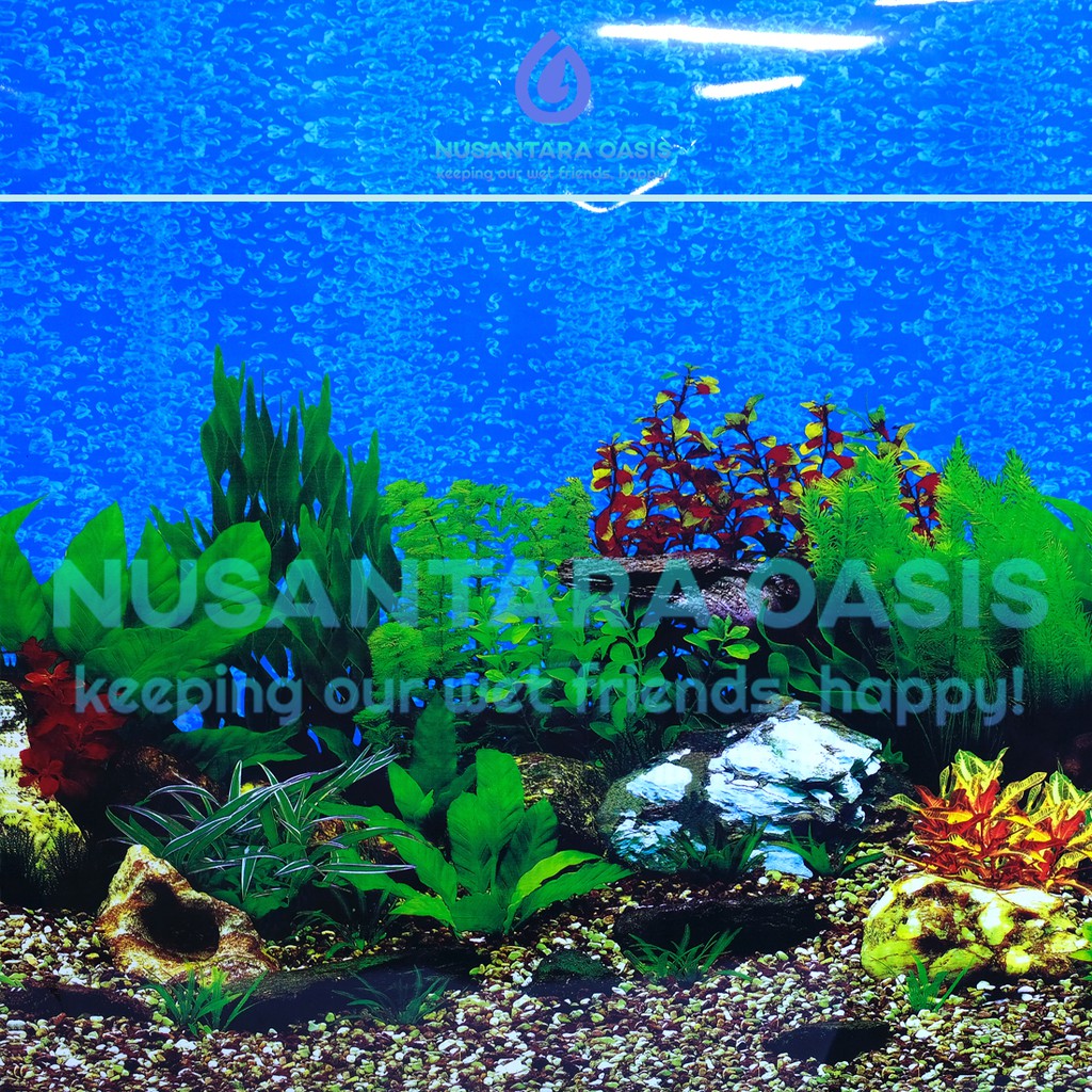 Detail Wallpaper Aquarium Batu Alam Nomer 42