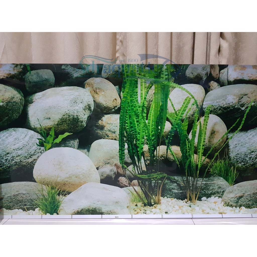 Detail Wallpaper Aquarium Batu Alam Nomer 7