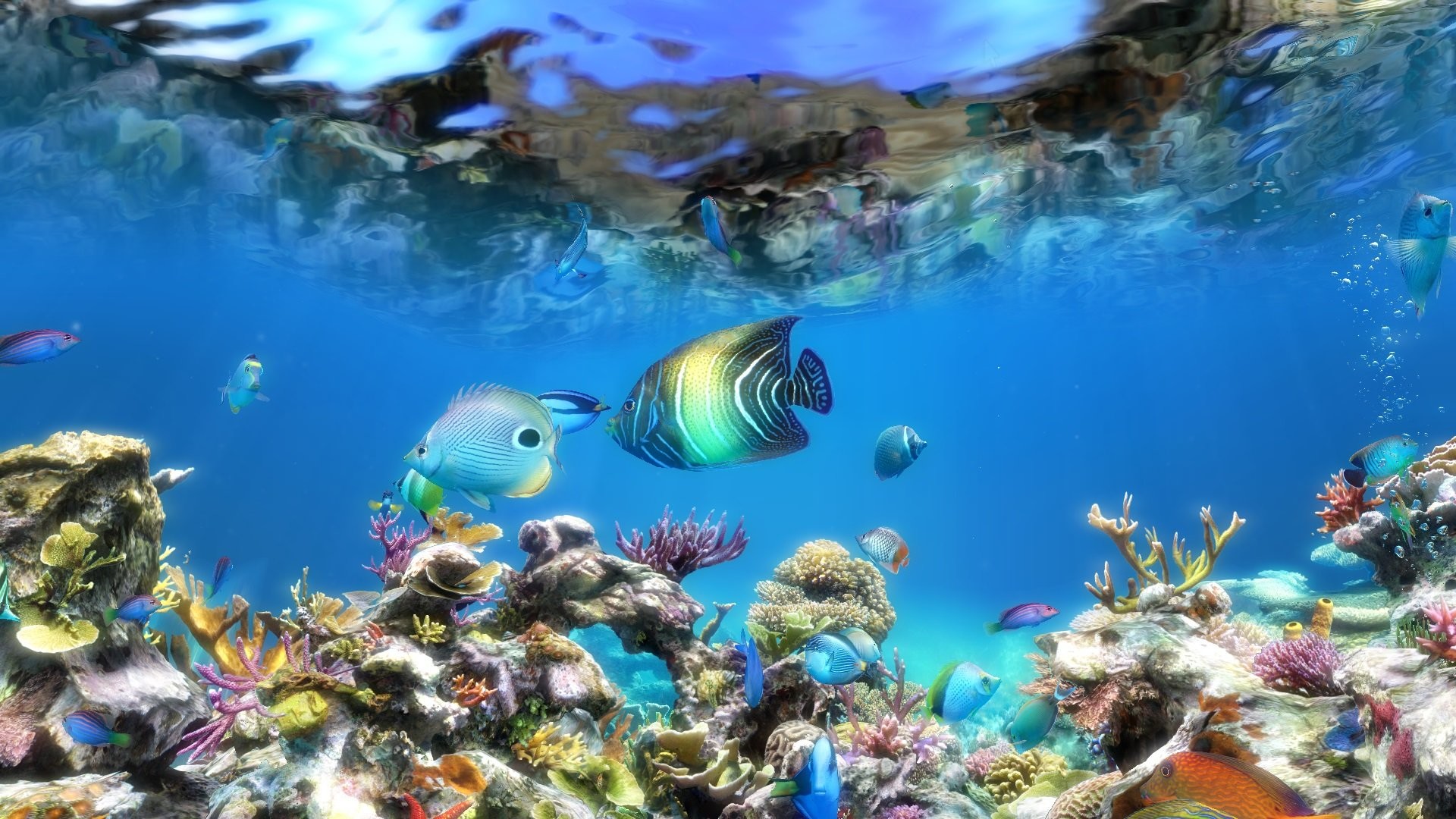 Detail Wallpaper Aquarium Hd Nomer 56