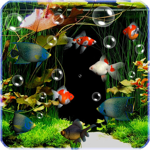 Detail Wallpaper Aquarium Hidup Nomer 3