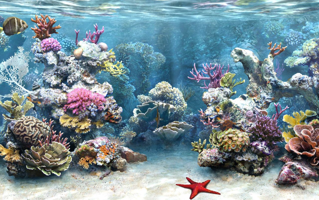 Detail Wallpaper Aquarium Hidup Windows 7 Nomer 44