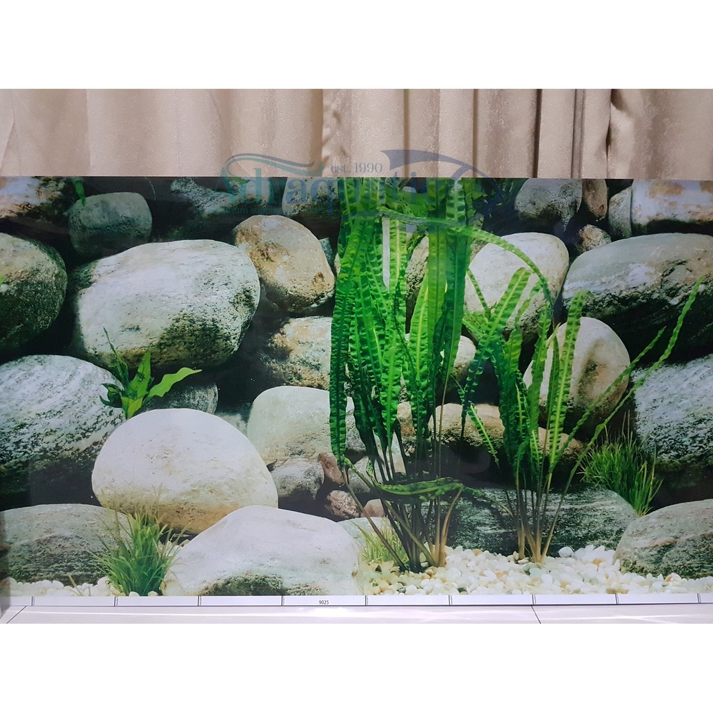 Wallpaper Aquarium Motif Batu Alam - KibrisPDR