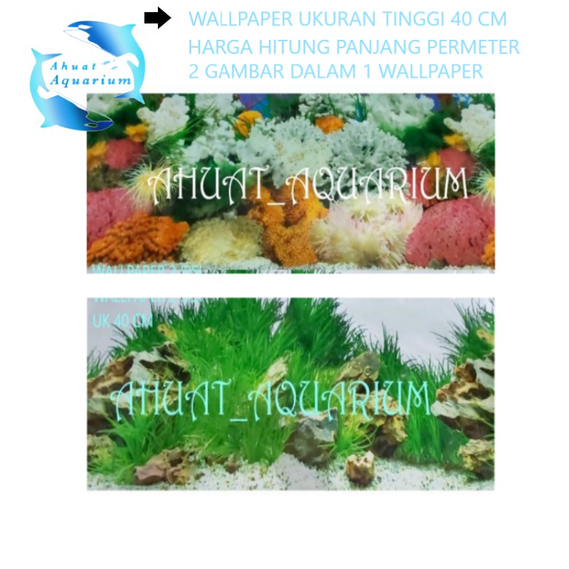 Detail Wallpaper Aquarium Motif Batu Alam Nomer 30