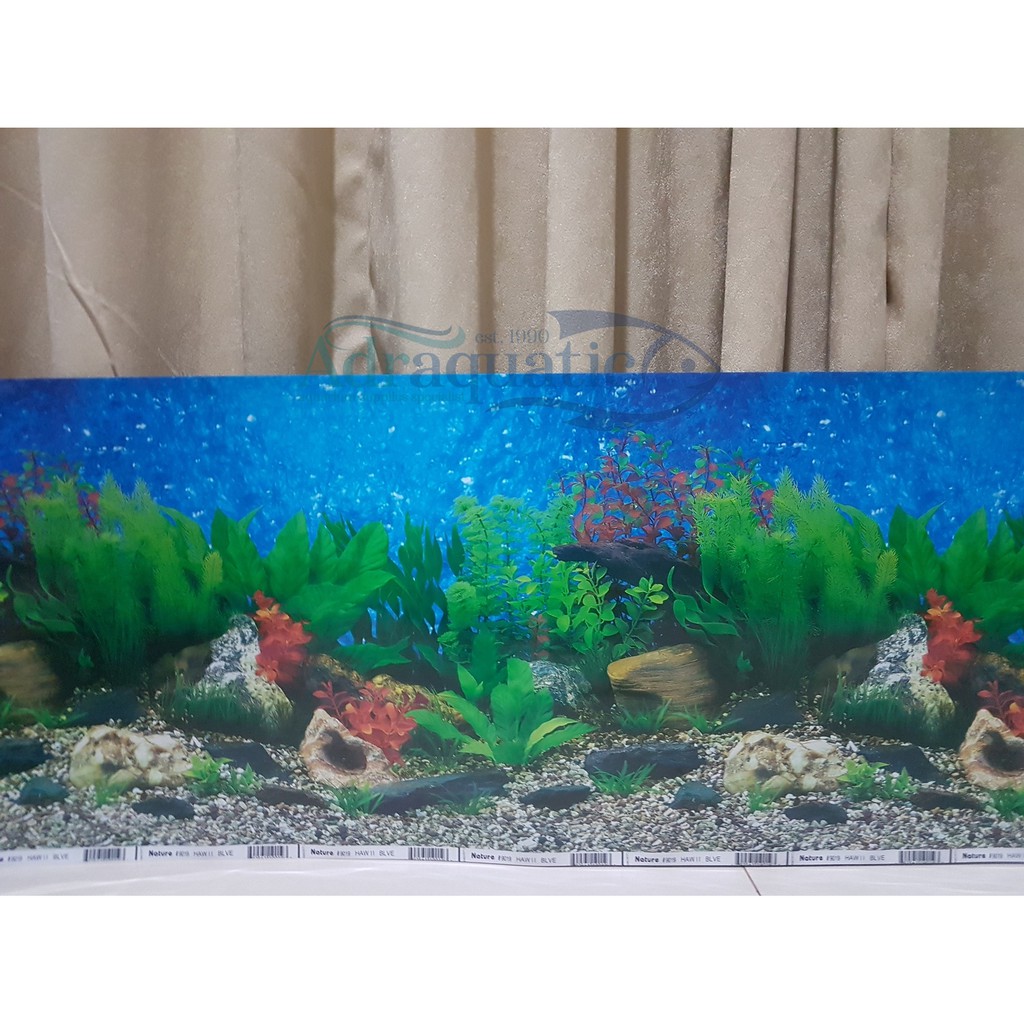 Detail Wallpaper Aquarium Motif Batu Alam Nomer 34