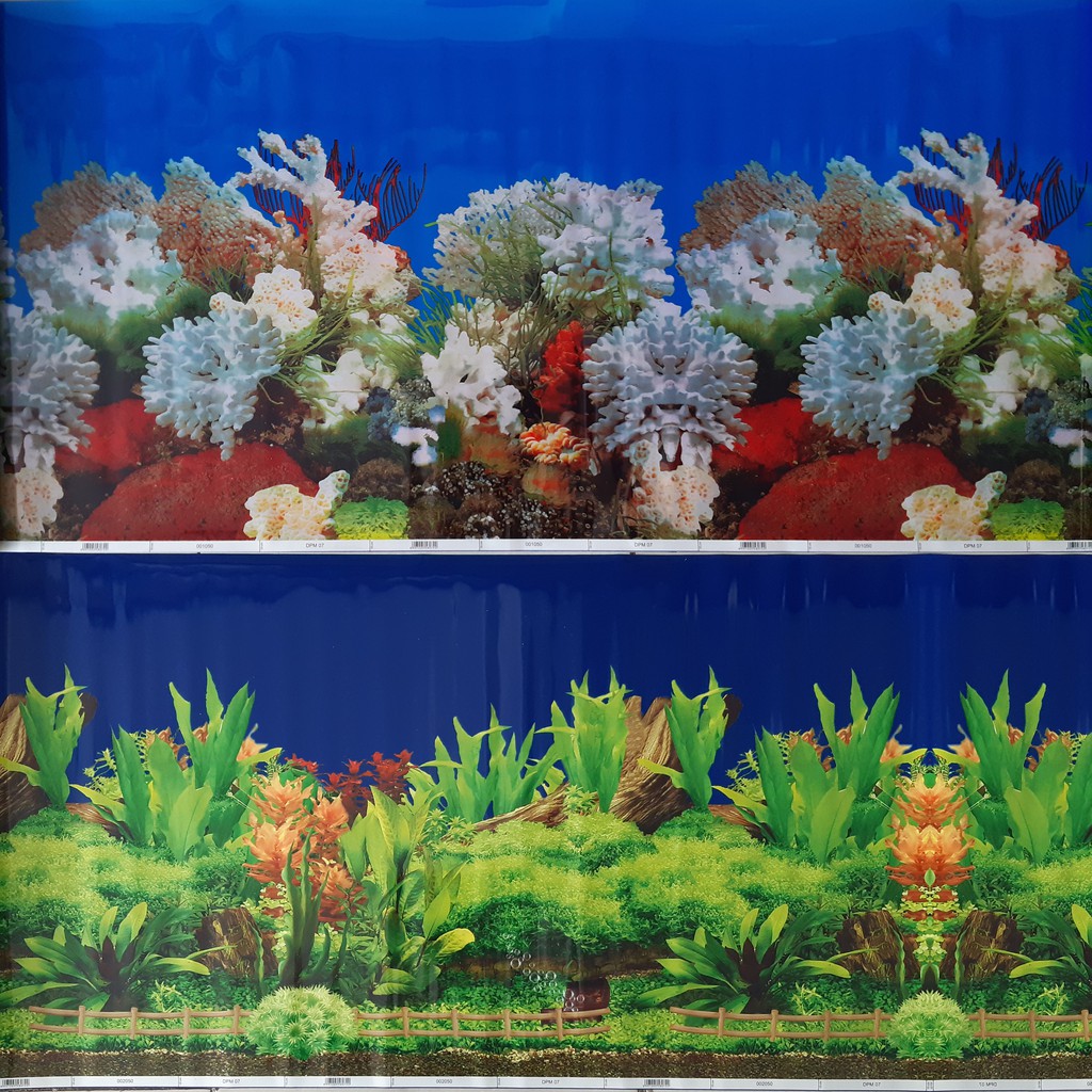 Detail Wallpaper Aquarium Motif Batu Alam Nomer 35