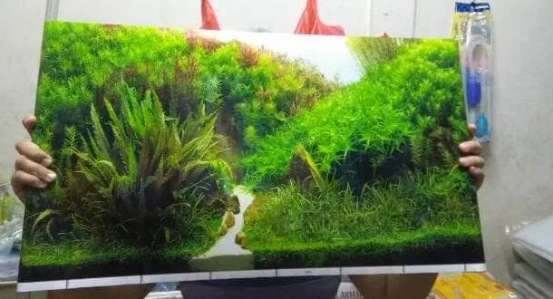 Detail Wallpaper Aquarium Motif Batu Alam Nomer 36