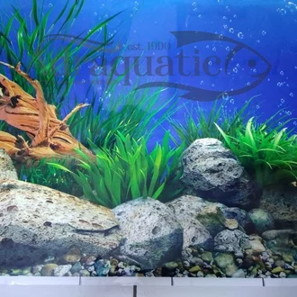 Detail Wallpaper Aquarium Motif Batu Alam Nomer 45