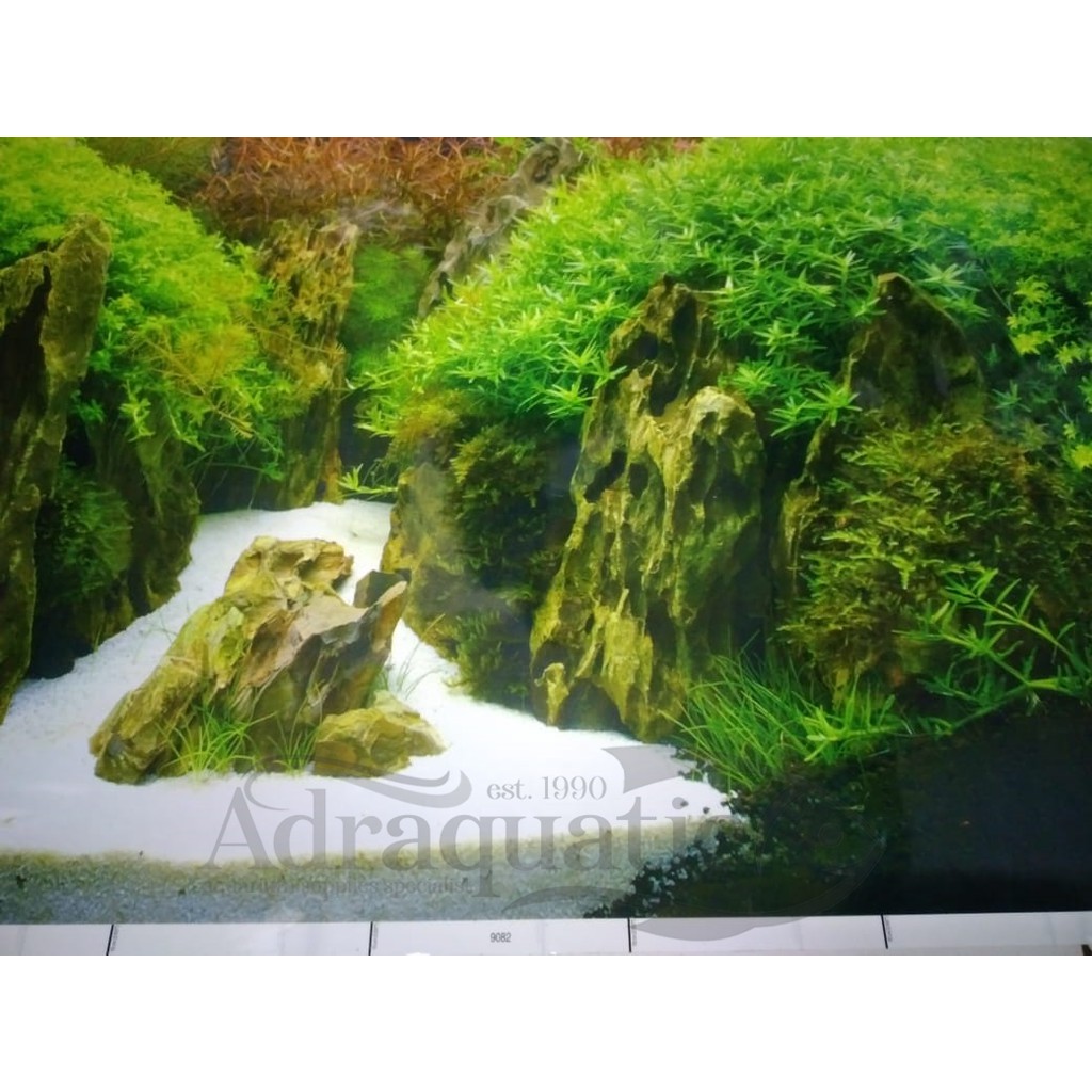 Detail Wallpaper Aquarium Motif Batu Alam Nomer 55