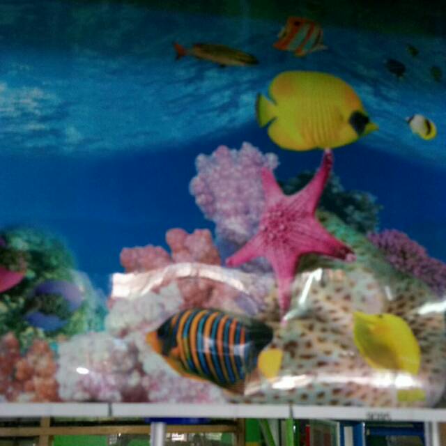 Detail Wallpaper Aquarium Polos Nomer 16