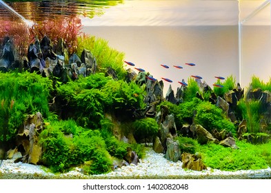 Detail Wallpaper Aquascape 3d Nomer 12