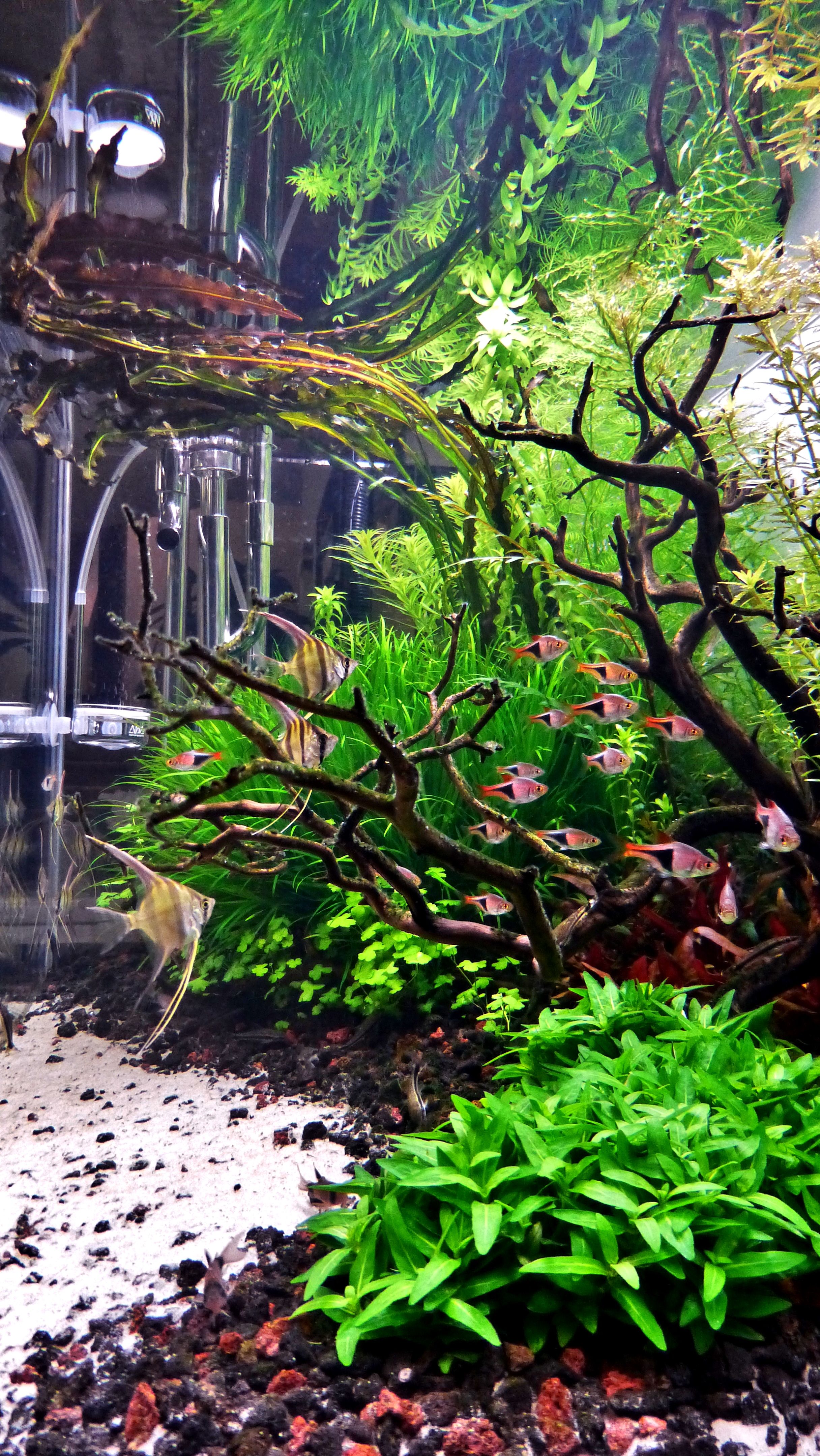 Detail Wallpaper Aquascape 3d Nomer 3