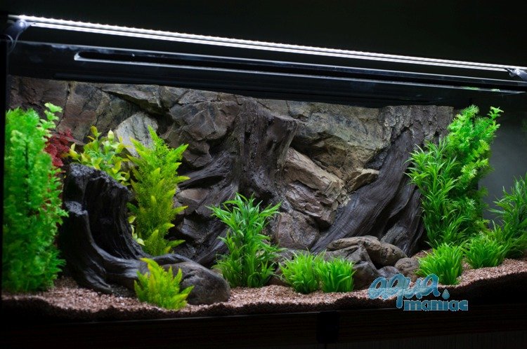 Detail Wallpaper Aquascape 3d Nomer 24