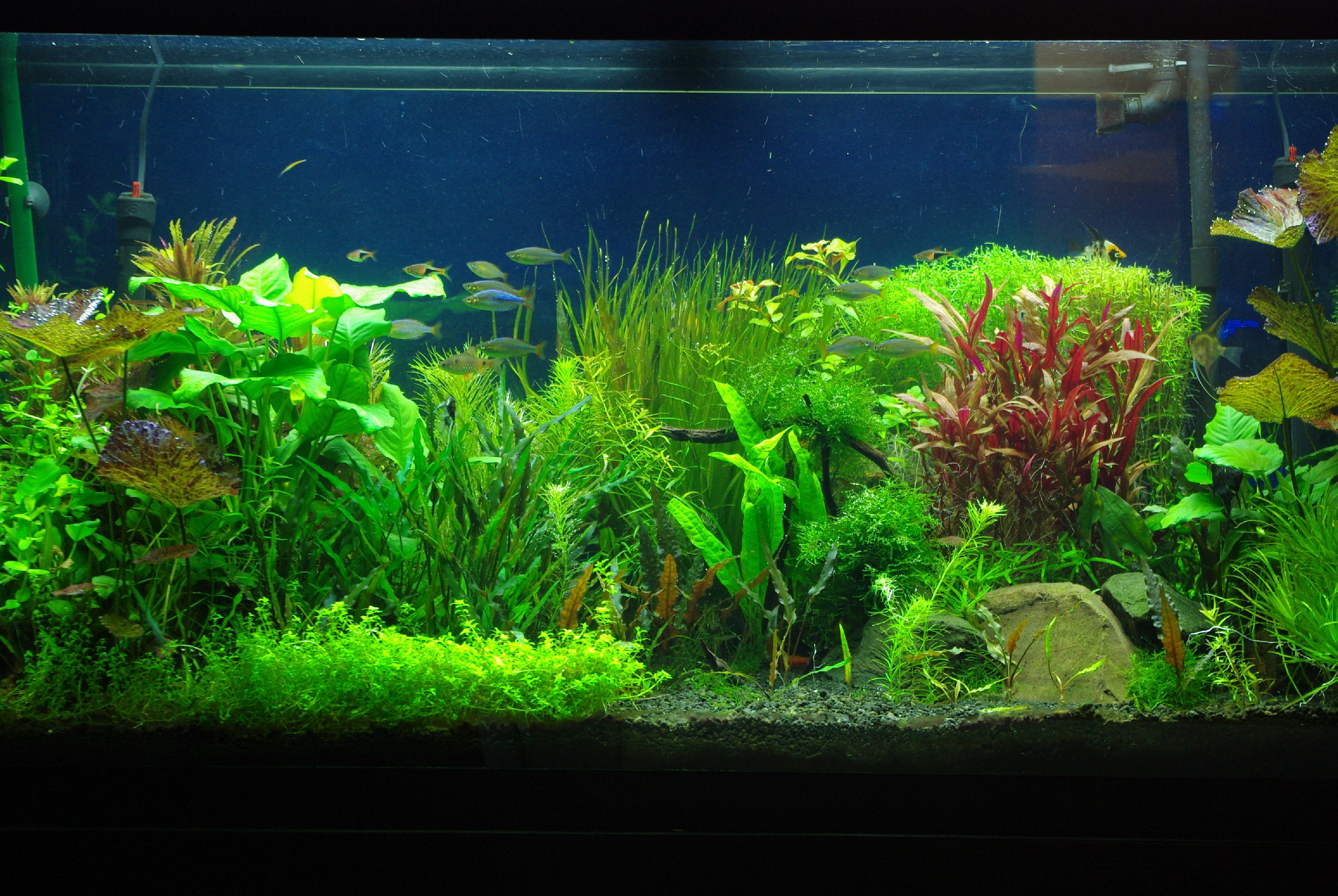 Detail Wallpaper Aquascape 3d Nomer 25