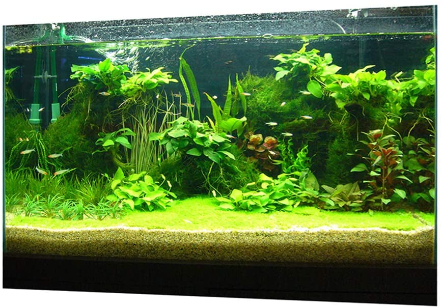 Detail Wallpaper Aquascape 3d Nomer 39