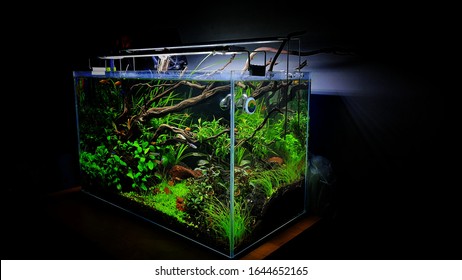 Detail Wallpaper Aquascape 3d Nomer 6