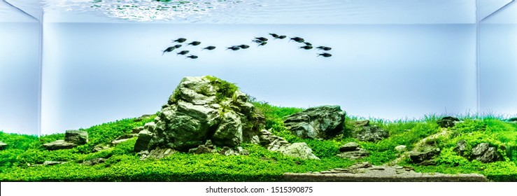Detail Wallpaper Aquascape Hd Nomer 21