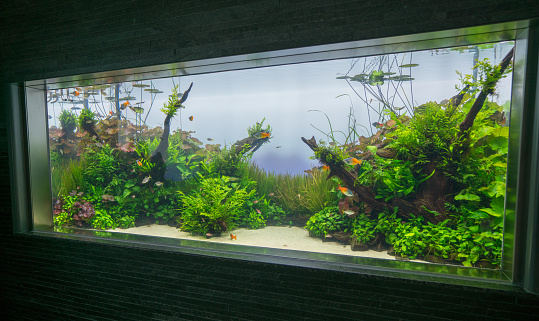 Detail Wallpaper Aquascape Hd Nomer 22