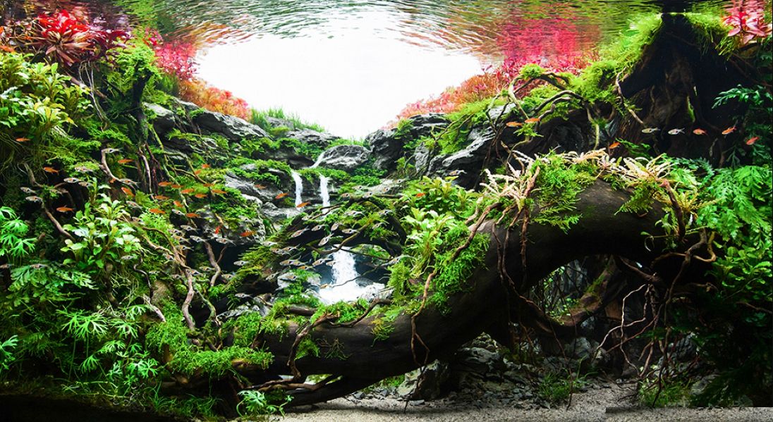 Detail Wallpaper Aquascape Hd Nomer 4