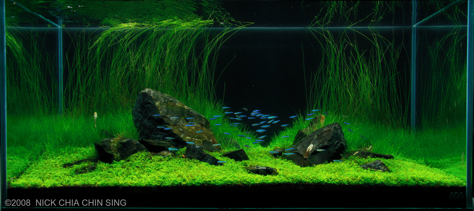 Detail Wallpaper Aquascape Hd Nomer 31