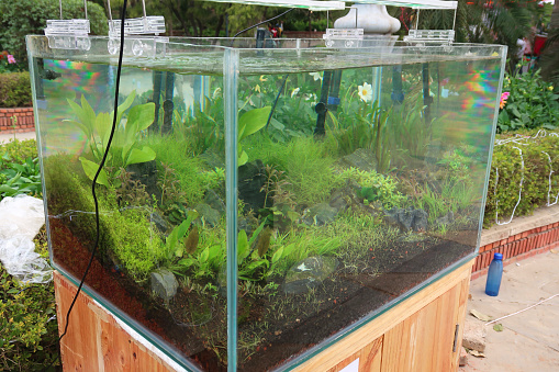Detail Wallpaper Aquascape Hd Nomer 34