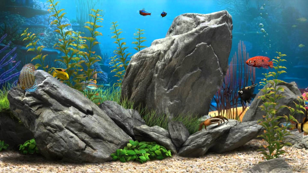 Detail Wallpaper Aquascape Hd Nomer 38