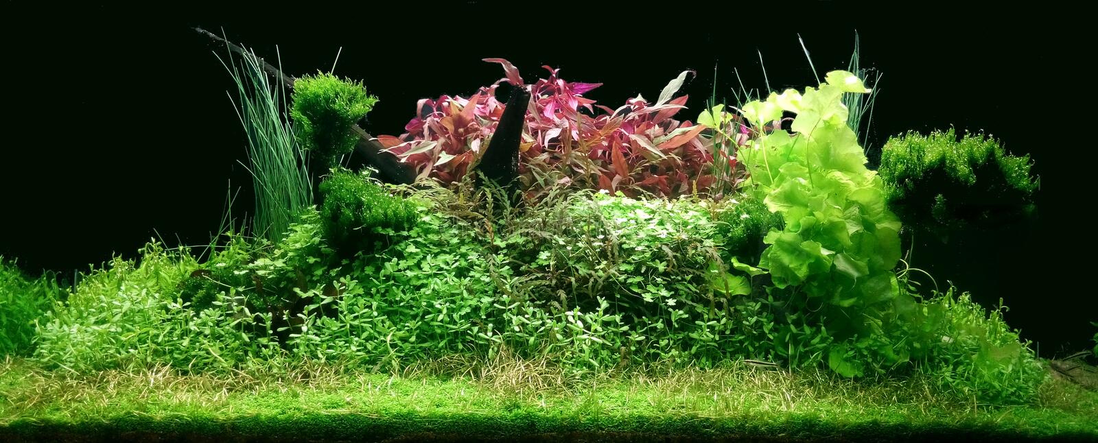 Detail Wallpaper Aquascape Hd Nomer 43