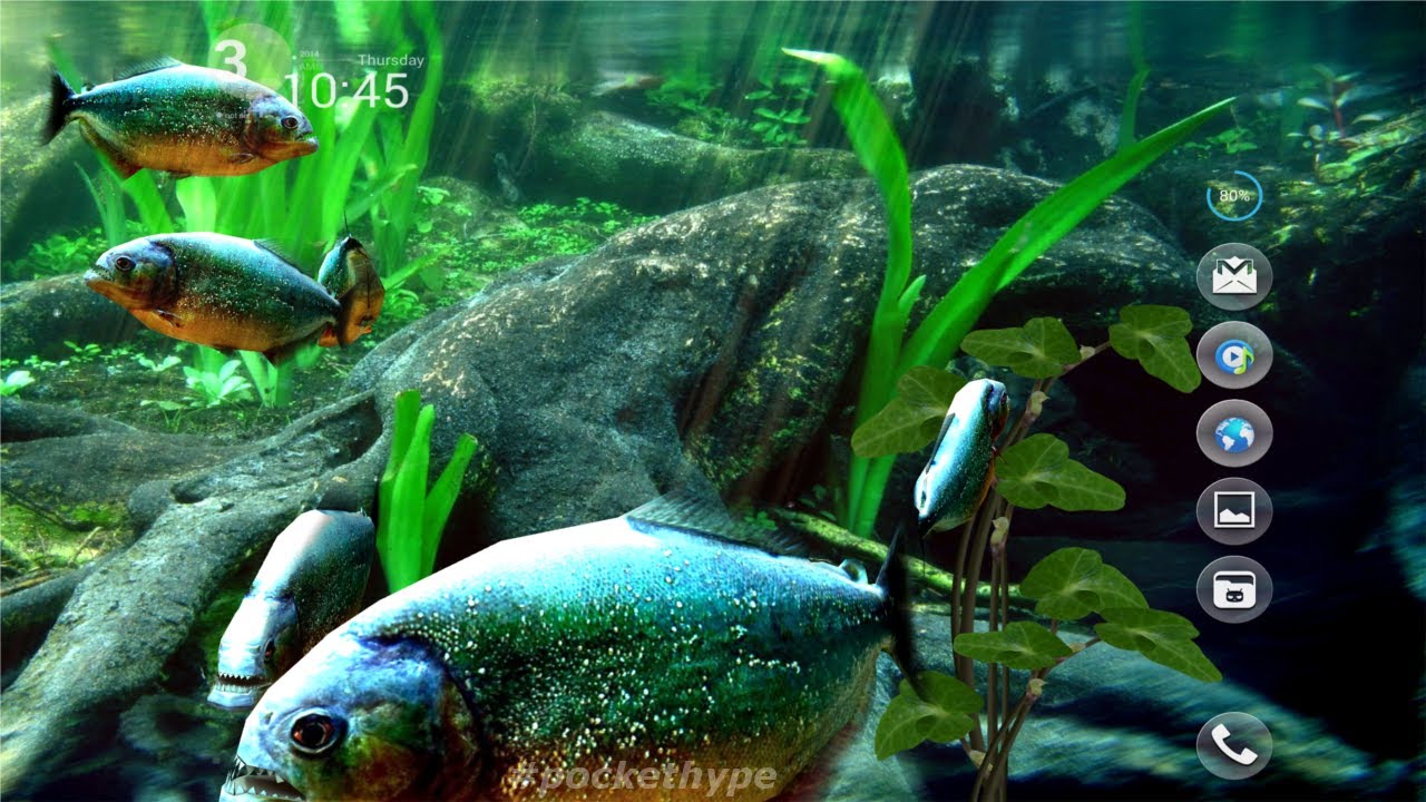 Detail Wallpaper Aquascape Hd Nomer 45