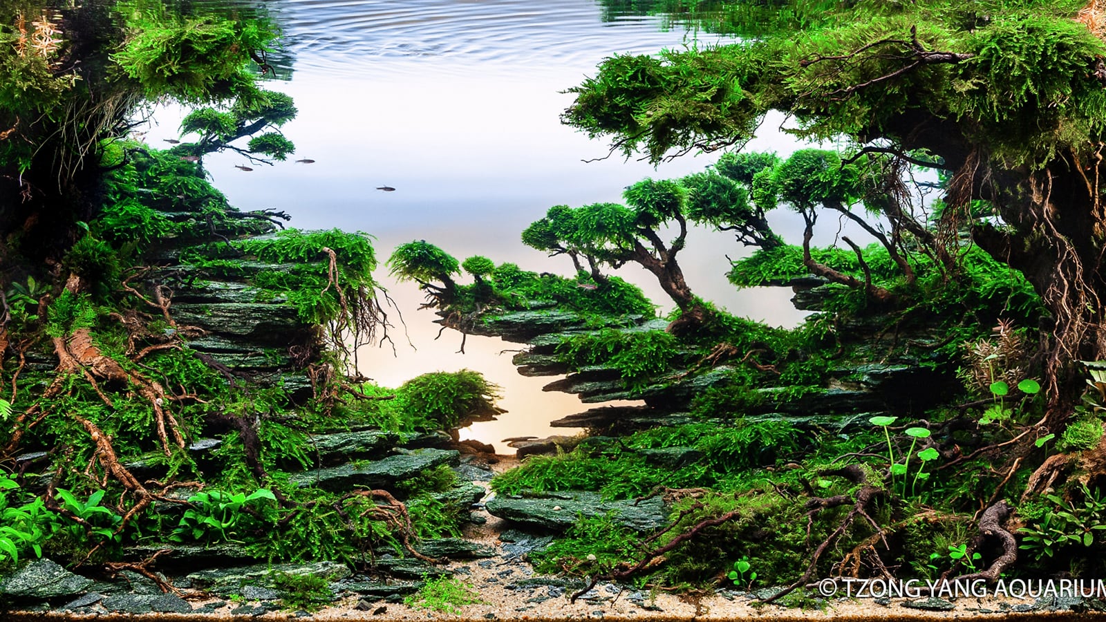 Detail Wallpaper Aquascape Hd Nomer 6