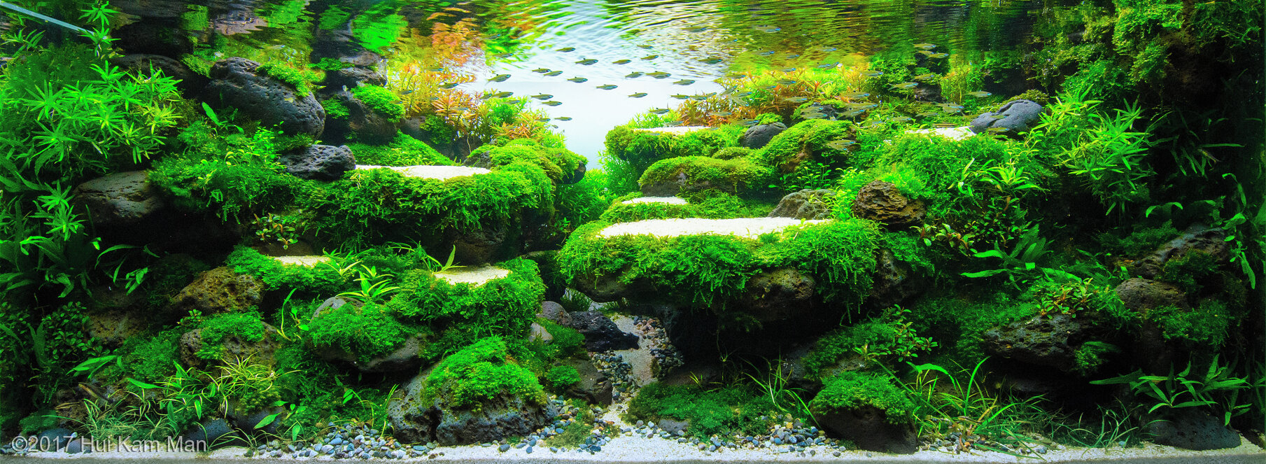 Detail Wallpaper Aquascape Hd Nomer 55